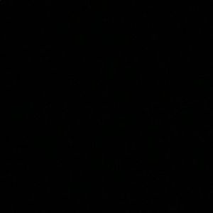 Meet your Posher, Flor abigail